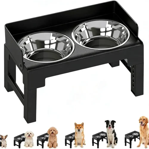 Adjustable Height Tiltable Dog Feeder