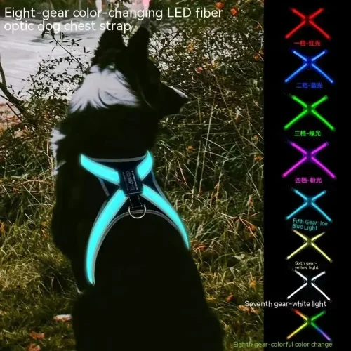 Color Changing Dog Collar and Leash